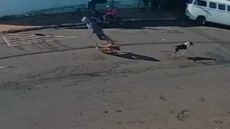 Idoso morre atropelado por cachorro que corria na rua