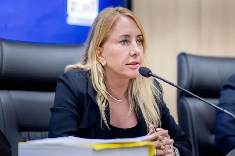 Deputada Ieda Chaves viabiliza substituição de ponte de madeira por estrutura metálica em Vale do Anari