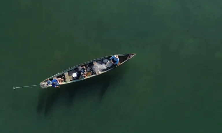 Ministério da Pesca cancela mais de 76 mil licenças de pescadores
