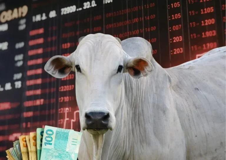 NOTA TÉCNICA FAPERON: Ponto de equilíbrio da arroba do boi revela distorções econômicas na cadeia da carne bovina