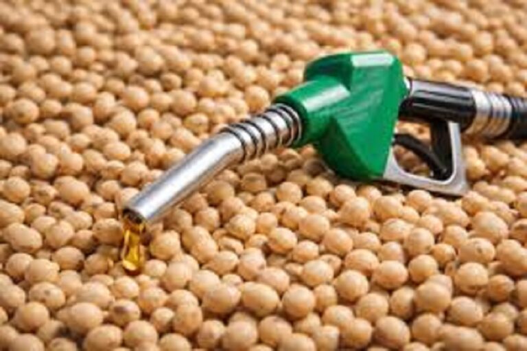 Novo biocombustível à base de soja pode reduzir em até 90% a emissão de CO2