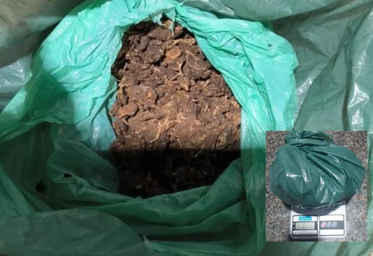 Polícia Militar apreende mais de 650 gramas de droga durante abordagem em Cacoal