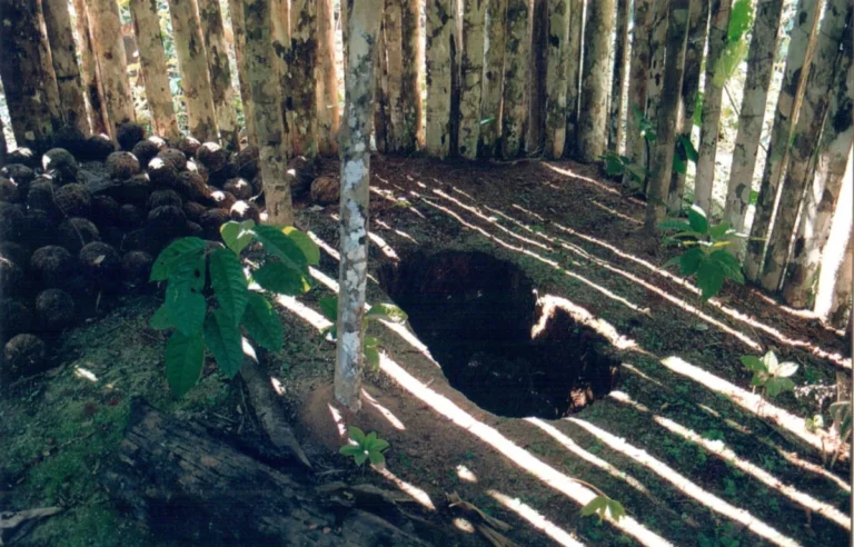Terra onde ‘Índio do Buraco’ viveu isolado por décadas vira parque nacional em RO
