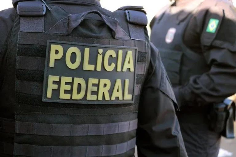 PF faz operação para investigar extração ilegal de madeira e minérios em terras indígenas de Rondônia